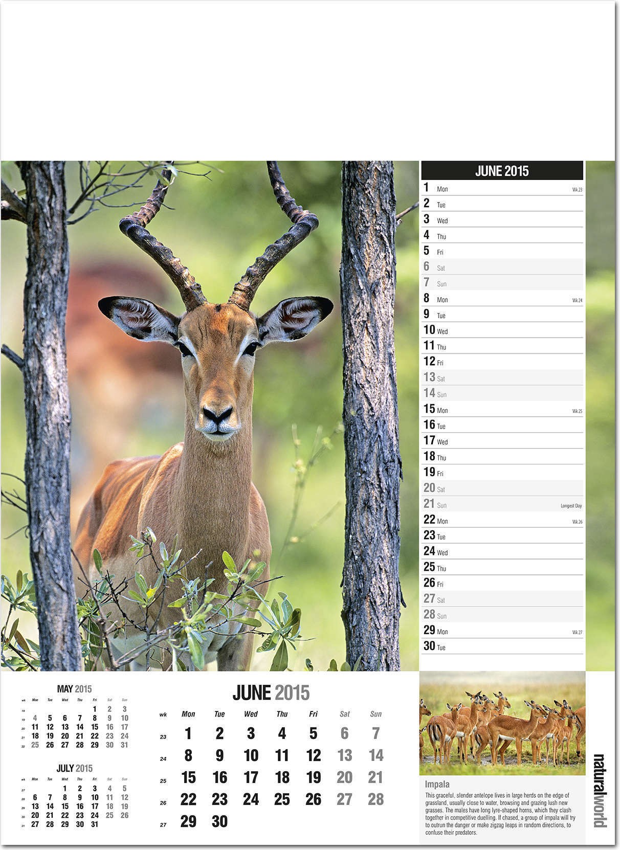 Natural World Calendar 2016 Rose Calendars
